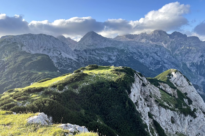 Mokre sanje oz. pošihtnica #4