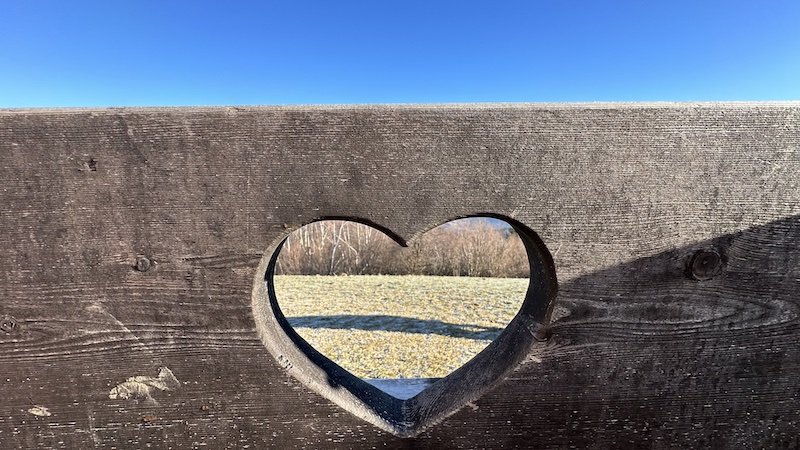 Ko ljubiš svet, svet ljubi tebe