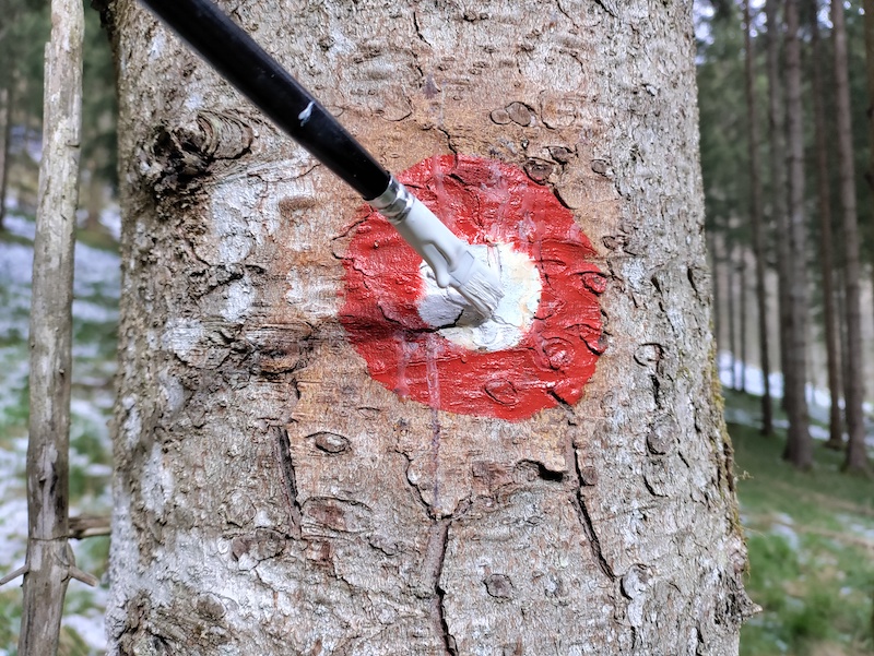 Spontana ideja in beséda je dála besédo