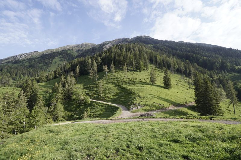 Spomladansko soparjenje po Begunjščici