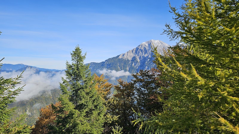Najstarejši gams in njegova tura